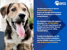 We are open for adoption and surrender services by appointment only. Adoption Houston Spca