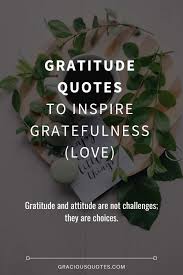 We did not find results for: 54 Gratitude Quotes To Inspire Gratefulness Love