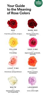 5 Things To Know When Shopping Our Roses Rose Color Meanings Rose Color Flowers Bouquet Gift