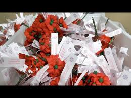 Image result for Poppy Red 1995 AAV