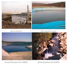 Pest control northwest provides pest control management of bees, wasps, hornets, ants, mice, rats, wildlife and others in the greater seattle area. Processes Free Full Text Sustainable Environmental Management And Valorization Options For Olive Mill Byproducts In The Middle East And North Africa Mena Region Html