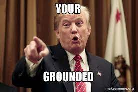 Your Grounded Donald Trump Says Make A Meme