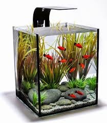 This tank may stand on your kitchen counter or even on the child's dresser. The Ultimate Guide To Modern Contemporary Fish Tanks With Big Style Spiffy Pet Products Aquarium Fish Desktop Aquarium Aquarium Design