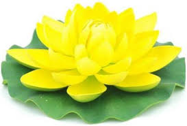 Add the flower to a cup of hot water, that is just beyond simmering. Stupefying Artificial Floating Foam Lotus Decorative Flowers Yellow Green Lotus Artificial Flower Price In India Buy Stupefying Artificial Floating Foam Lotus Decorative Flowers Yellow Green Lotus Artificial Flower Online At Flipkart Com