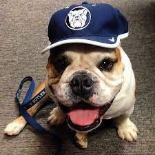 Pin On Fashion Police