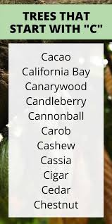 Our content is doctor approved and evidence based, and our community is moderated, lively, and welcoming. 11 Trees That Start With C Complete List