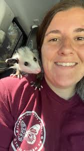 Your wildlife lesson for the day 🦋