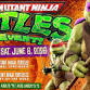 TEENAGE MUTANT NINJA TURTLES Fan Event! w/ Big Kid Toy Show