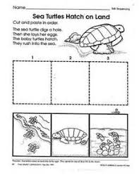 Sea Turtles Worksheets For Kindergartners Sea Turtle Turtle Activities Sea Turtle Drawing
