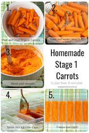 Homemade Stage 1 Baby Food Recipes Healthy Baby Food Baby Food Recipes Homemade Baby Foods