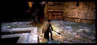 I was thinking the same mookey. Hallowed Feint Dragon S Dogma Wiki Fandom