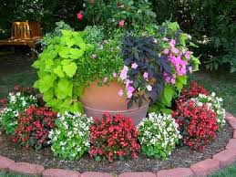 21 Awesome Garden Ideas For Small Flowers Small Flower Gardens Plants Planting Flowers