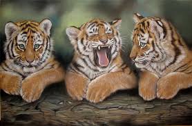 Image result for tiger cubs