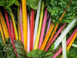 Five Color Silverbeet Swiss Chard Swiss Chard Rainbow Chard Chard