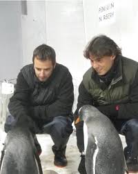 What time does rafael nadal play against borna coric in basel? Rafael Nadal With Baby Penguins By Choire Sicha The Awl Medium