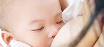 Check spelling or type a new query. Lactancia Materna Exclusiva Los 6 Primeros Meses