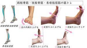 理学療法士キリツ 姿勢レッスンをオンラインでします on twitter