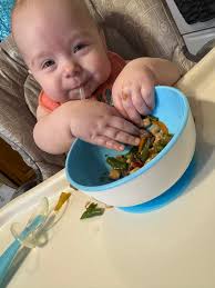 Easy go-to meal ideas?