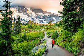 Can you hike mount rainier? Hiking The Jaw Dropping Skyline Loop Trail At Mt Rainier National Park