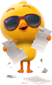 自由鳥首頁- 自由鳥