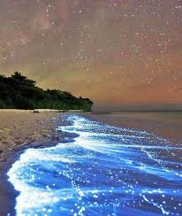 Take A Look To The Sky Just Before You Die 50 Places You Should See Before You Die Sea Of Stars Travel Places To Travel