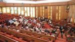Hate speech offenders hanging Senate's