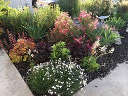 Many people are familiar with the. I M Loving This Little Corner Of My Drought Tolerant Pollinator Friendly California Garden Gardening