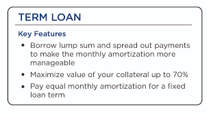 Sme Loan Bdo Unibank Inc