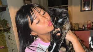 Celebrities & Cat Fun Facts, Stories & Updates