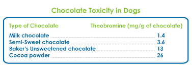 dogs vs chocolate guelph on veterinarian guelph lake