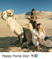 Online meme generator to caption most viral memes or upload your pictures to make custom memes. Happy Hump Day Memes Images Humor And Funny Pics Socially Keeda