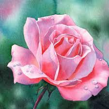 Colora gratis centinaia di fiori, bellissimi e curati nei dettagli. 1001 Idee Per Come Disegnare Una Rosa Con Tutorial