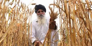 Khedut agro engineering is a leading agricultural equipment manufacturer and exporter in india. Punjab S Shrinking Agricultural Output Is An Opportunity For The State To Branch Out