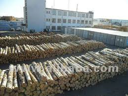 We did not find results for: White Birch Logs Latvia Origin Buy Birch Logs Birch Wood Logs White Birch Logs Product On Alibaba Com