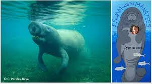 Check spelling or type a new query. Con Cienciados Para Conservar Los Manaties Oceanicas
