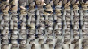 يتصرخ من المتعة لما نكت طيزها - XNXX.COM