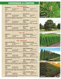 We did not find results for: 2014 Northern Garden Collection Reference Guide By P Ronald Issuu