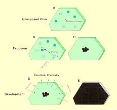 The Photographic Process And Film Sensitivity