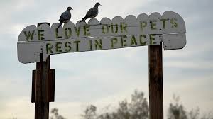 Peaceful pastures services are available to families at need seven (7) days a week via a paging system. The Cost Of Pet Burial Pet Health Insurance Tips