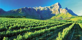 Good availability and great rates. Destination Management Luzuko