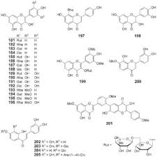 Image result for Schizozygia coffaeoides