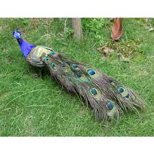 Was für ein herrlicher tag war das heute. Realisierte Vogelfigur Pfau Zaunfigur Kaufland De