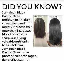 By combining lab innovation, natural ingredients, and so, the question remains, is there a way to speed up growth and get the hair of your dreams? 5 Oils For Hair Growth How To Grow Natural Hair Vitamins For Hair Growth Grow Natural Hair Faster