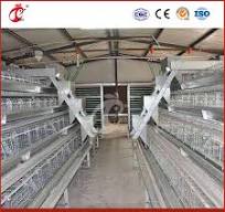 Mejor jaula para gallinas, jaula de tipo para ponedoras, proveedor de  jaulas de madera para gallinas en China, configuración personalizada de la  mejor casa para aves de corral, puerta de trampa para ...