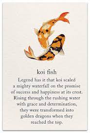 Koi Fish Congratulations Card Cardthartic Com Symbols And Meanings Koi Fish Tattoo Koi Fish