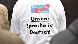 Makes sophisticated checks affordable to all. Afd Schickt Sich An Die Letzten Landtage Zu Erobern Stern De