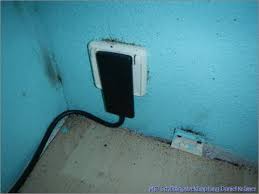 Bats in attics hibernate elsewhere. Bed Bug Preparation Checklist Mibabs Berlin