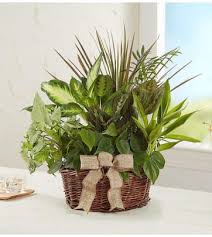 Check spelling or type a new query. Sympathy Loss Of A Pet Fruits Flowers Bridgeport Ct Bridgeport Ct Florist