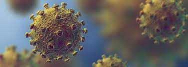 Find out more about this novel coronavirus (ncov). Novel Coronavirus Resources Page Ufi The Global Association Of The Exhibition Industry