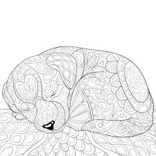Supercoloring.com is a super fun for all ages: Sleeping Dog Outline Stock Illustrations 246 Sleeping Dog Outline Stock Illustrations Vectors Clipart Dreamstime